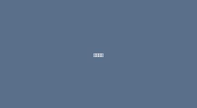 案例展示